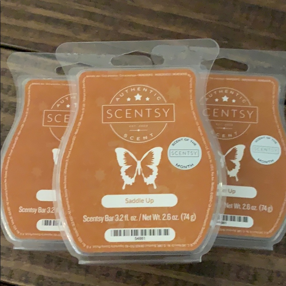 RESERVED *** Scentsy Bars